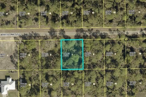 Land in Lehigh Acres, Florida № 2162856 - photo 2