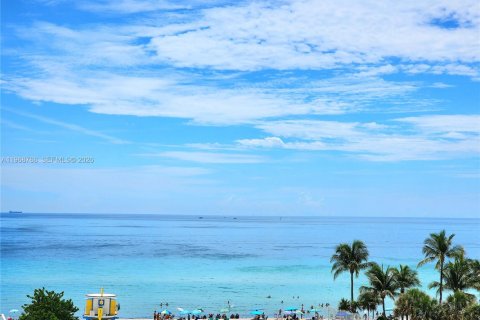 Condo in Hollywood, Florida, 1 bedroom  № 2087900