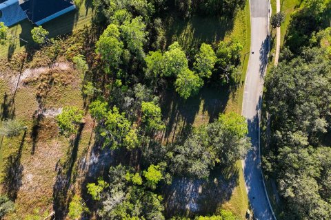 Land in Saint Cloud, Florida № 1554207 - photo 7