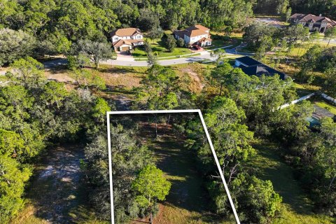 Land in Saint Cloud, Florida № 1554207 - photo 4