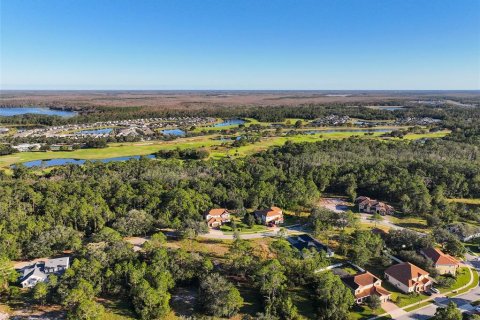 Land in Saint Cloud, Florida № 1554207 - photo 19