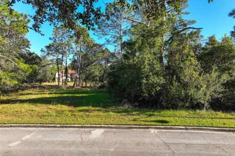 Land in Saint Cloud, Florida № 1554207 - photo 2