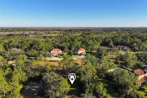 Land in Saint Cloud, Florida № 1554207 - photo 22