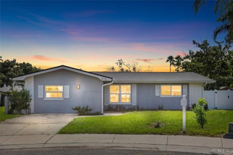 House in Oldsmar, Florida 3 bedrooms, 147.06 sq.m. № 2303110