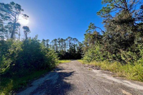 Land in North Port, Florida № 2161901 - photo 3