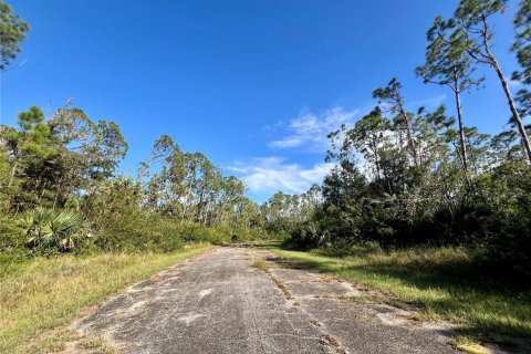 Land in North Port, Florida № 2161901 - photo 2