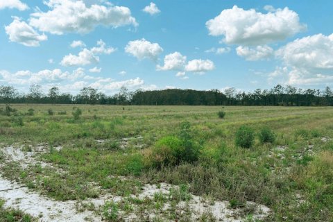 Immobilier commercial à vendre à St. Lucie, Floride № 2243430 - photo 4