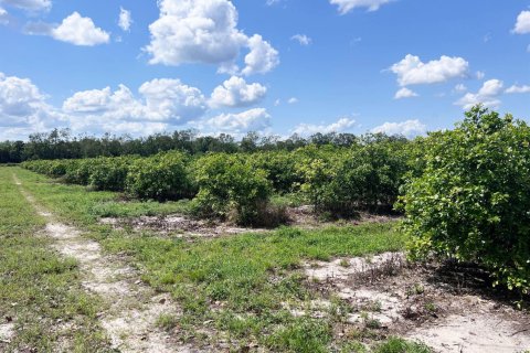 Immobilier commercial à vendre à St. Lucie, Floride № 2243430 - photo 3