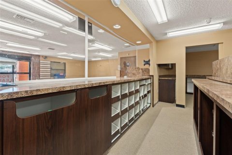 Immobilier commercial à louer à Spring Hill, Floride: 286.32 m2 № 2294963 - photo 12