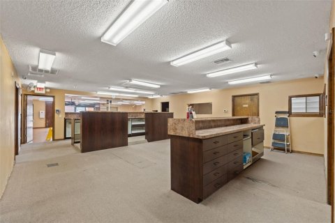 Immobilier commercial à louer à Spring Hill, Floride: 286.32 m2 № 2294963 - photo 15
