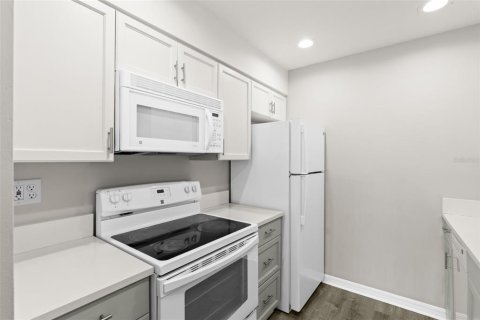 Condominio en alquiler en Saint Petersburg, Florida, 2 dormitorios, 85.01 m2 № 2122864 - foto 10
