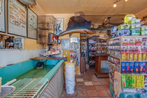 Immobilier commercial à vendre à Indian Rocks Beach, Floride: 55.74 m2 № 1901295 - photo 5