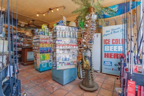 Immobilier commercial à vendre à Indian Rocks Beach, Floride: 55.74 m2 № 1901295 - photo 8