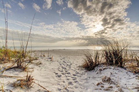 Immobilier commercial à vendre à Indian Rocks Beach, Floride: 55.74 m2 № 1901295 - photo 22