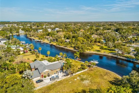 Villa ou maison à louer à New Port Richey, Floride: 1 chambre, 70.61 m2 № 1901155 - photo 29