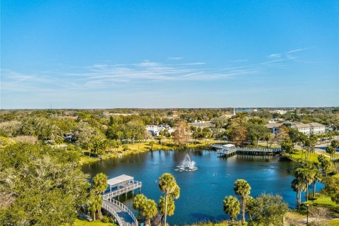 Villa ou maison à louer à New Port Richey, Floride: 1 chambre, 70.61 m2 № 1901155 - photo 25