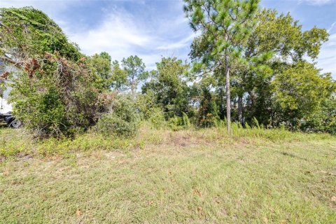 Land in Spring Hill, Florida № 1402250 - photo 16