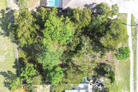 Land in Spring Hill, Florida № 1402250 - photo 11