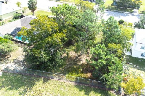 Land in Spring Hill, Florida № 1402250 - photo 21