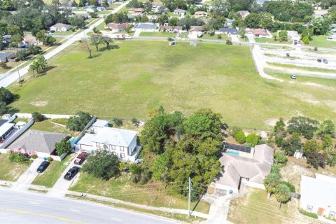 Land in Spring Hill, Florida № 1402250 - photo 4