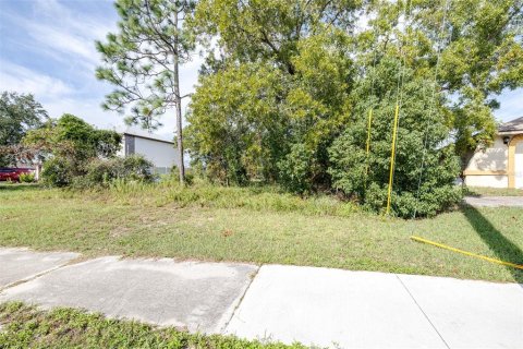Land in Spring Hill, Florida № 1402250 - photo 10