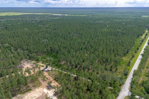 Terrain à vendre à Fort MC Coy, Floride № 2218753 - photo 6