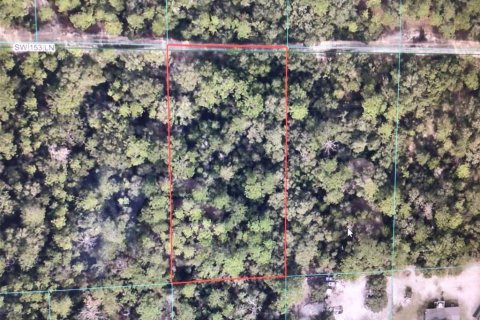 Terrain à Dunnellon, Floride № 2213390