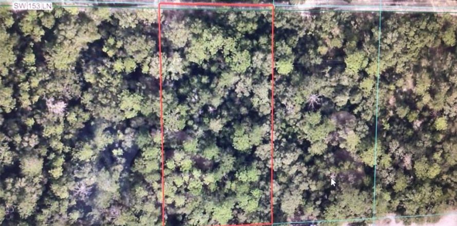 Terrain à Dunnellon, Floride № 2213390