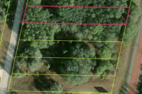 Land in Webster, Florida № 2237410