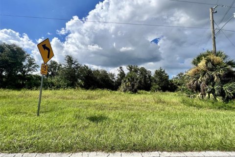 Land in Port Charlotte, Florida № 2160110