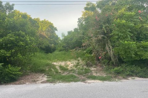 Terreno en venta en Spring Hill, Florida № 1909133 - foto 1