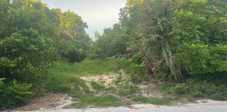 Terreno en Spring Hill, Florida № 1909133