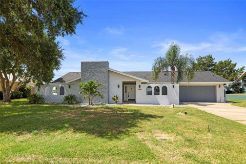 Villa ou maison à Crystal River, Floride 3 chambres, 211.82 m2 № 2104836