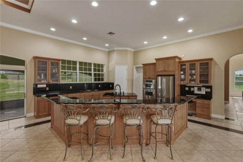 Villa ou maison à vendre à Dade City, Floride: 6 chambres, 509.2 m2 № 2149183 - photo 27