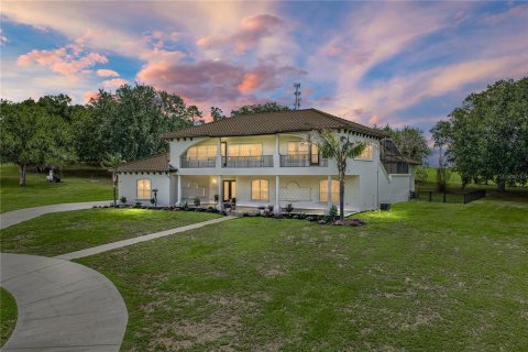 Villa ou maison à vendre à Dade City, Floride: 6 chambres, 509.2 m2 № 2149183 - photo 3