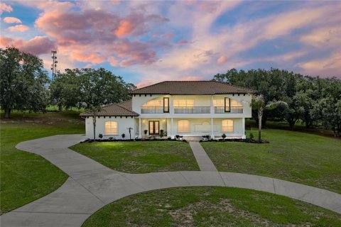 Villa ou maison à Dade City, Floride 6 chambres, 509.2 m2 № 2149183
