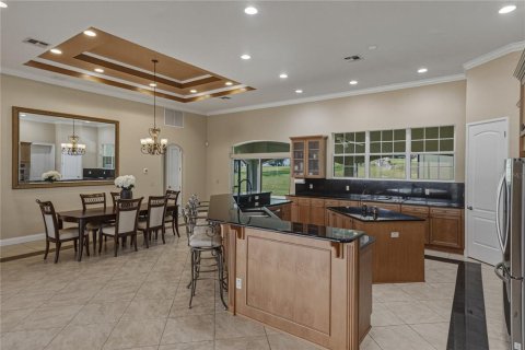 Villa ou maison à vendre à Dade City, Floride: 6 chambres, 509.2 m2 № 2149183 - photo 25