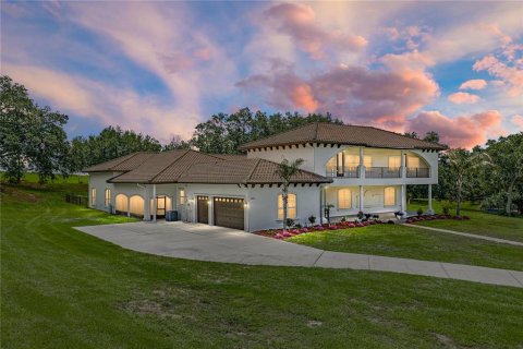 Villa ou maison à vendre à Dade City, Floride: 6 chambres, 509.2 m2 № 2149183 - photo 2