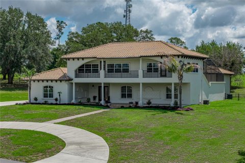 Villa ou maison à vendre à Dade City, Floride: 6 chambres, 509.2 m2 № 2149183 - photo 8