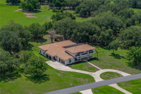 Villa ou maison à vendre à Dade City, Floride: 6 chambres, 509.2 m2 № 2149183 - photo 7