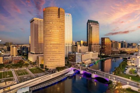 Commercial property in Tampa, Florida № 2275581