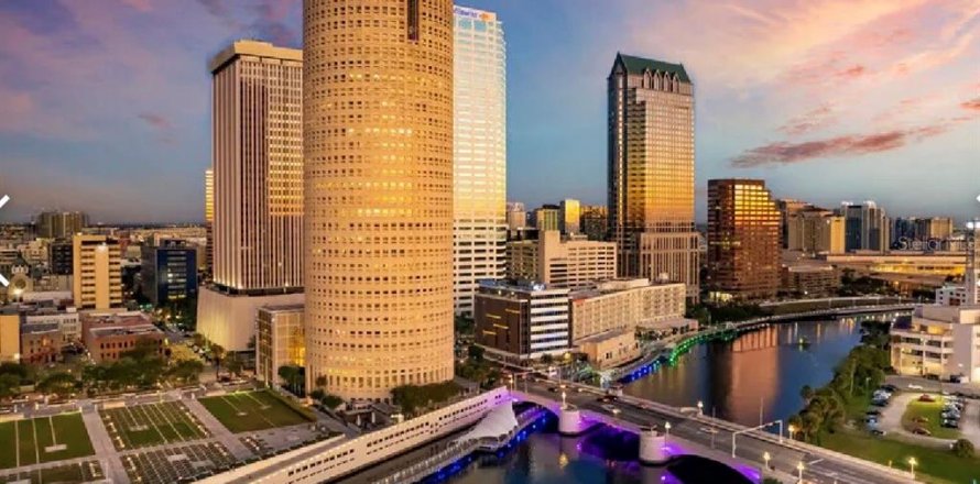 Commercial property in Tampa, Florida № 2275581