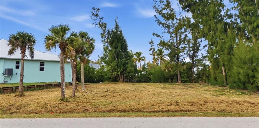 Terrain à Punta Gorda, Floride № 2144045