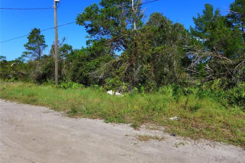 Terreno en venta en Lake Wales, Florida № 1420657 - foto 5