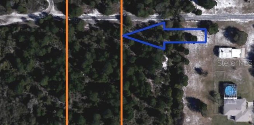 Terreno en Lake Wales, Florida № 1420657