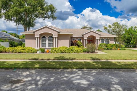 Villa ou maison à vendre à Palm Harbor, Floride: 4 chambres, 210.42 m2 № 2400945 - photo 6