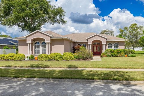 Villa ou maison à vendre à Palm Harbor, Floride: 4 chambres, 210.42 m2 № 2400945 - photo 2