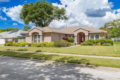Villa ou maison à Palm Harbor, Floride 4 chambres, 210.42 m2 № 2400945