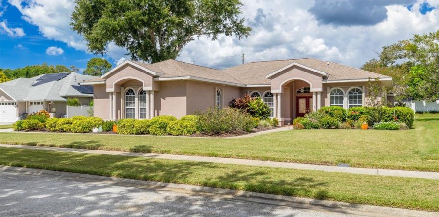 Villa ou maison à Palm Harbor, Floride 4 chambres, 210.42 m2 № 2400945