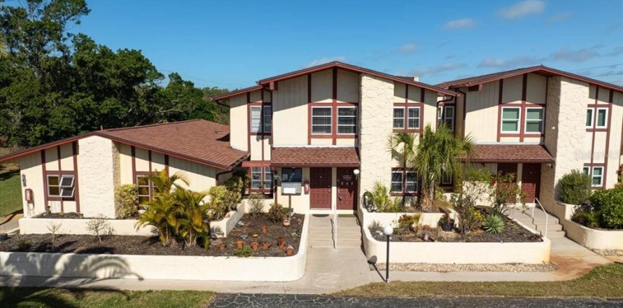 Condo à Rotonda, Floride, 2 chambres  № 2096255